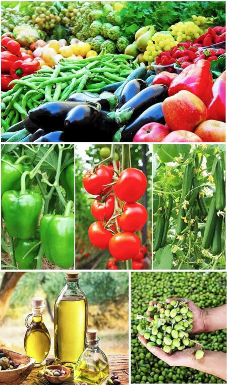 EURL DIMA KHIR EXPORT