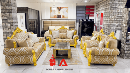 Salon louis 14