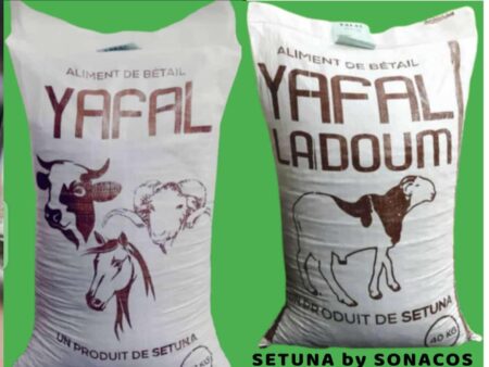 Aliment de bétail